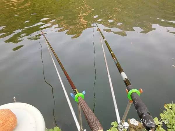 釣草魚視頻_釣青魚線組搭配_釣草魚線組搭配