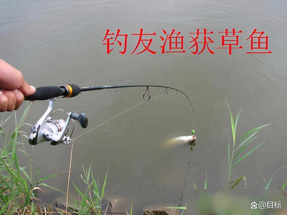 夜釣草魚技巧_夜釣浮漂選擇_釣草魚怎么調漂