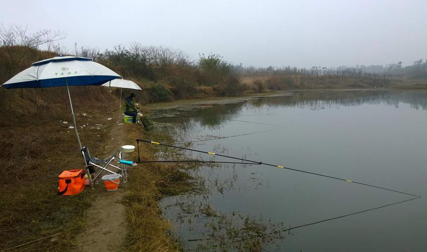 立冬后還能釣魚嗎_冬季釣魚腥味餌料選擇_立冬后陰雨天釣魚效果