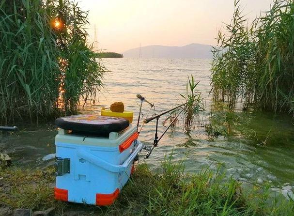 立冬后還能釣魚嗎_冬季釣魚腥味餌料選擇_立冬后陰雨天釣魚效果