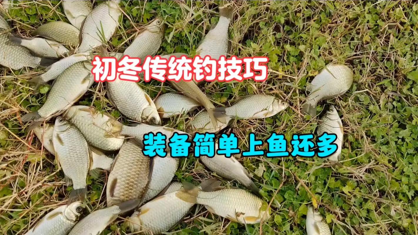 立冬后還能釣魚嗎_立冬后能釣魚嗎_冬季釣魚技巧