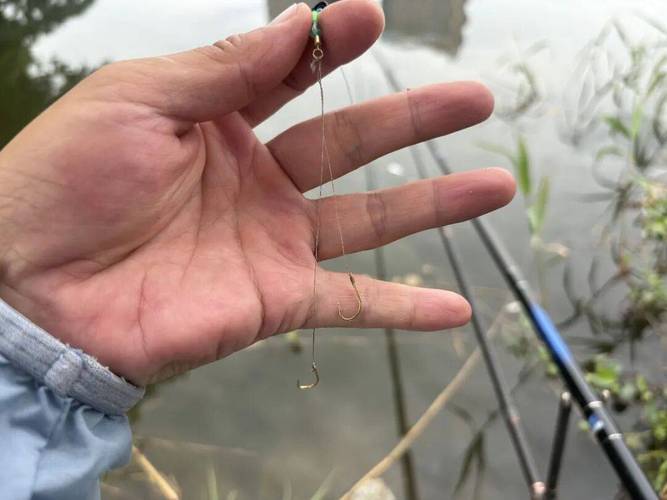 釣大魚送漂漂相_釣大魚_釣大魚緩沉漂相