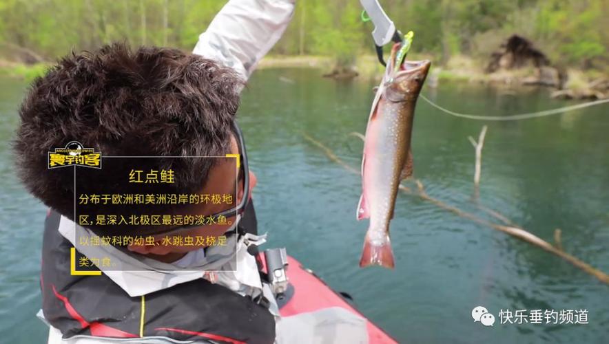無人機釣大魚技巧_新手避坑指南_釣大魚