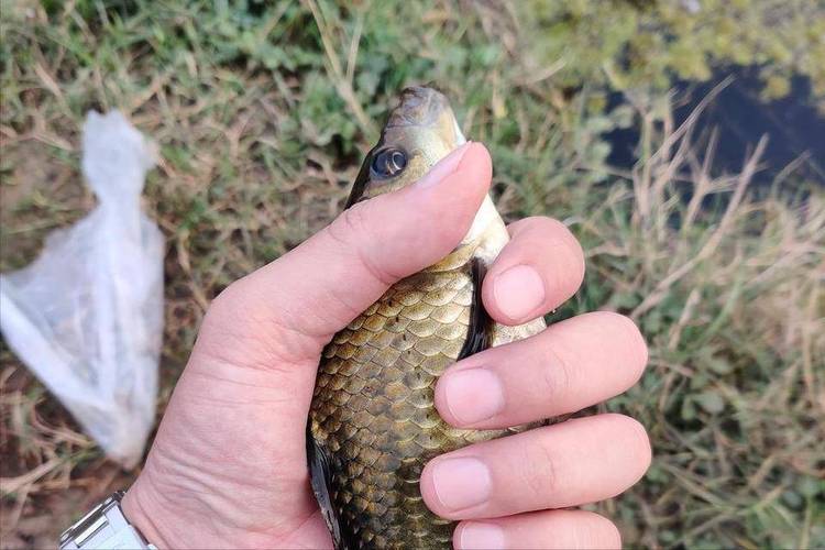 釣大魚技巧_釣魚提竿時機判斷_釣到魚不跑鉤技巧