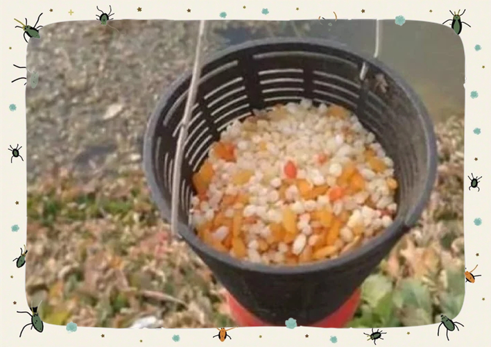 釣魚酒米制作步驟_自制釣魚酒米配方_中藥泡酒米釣魚配方