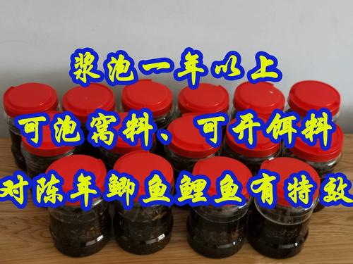 釣鯽魚最佳時間_酒米制作技巧_中藥泡酒米釣魚配方