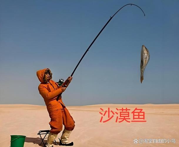 塔里木河綠洲垂釣_塔克拉瑪干沙漠釣魚_沙漠里釣魚