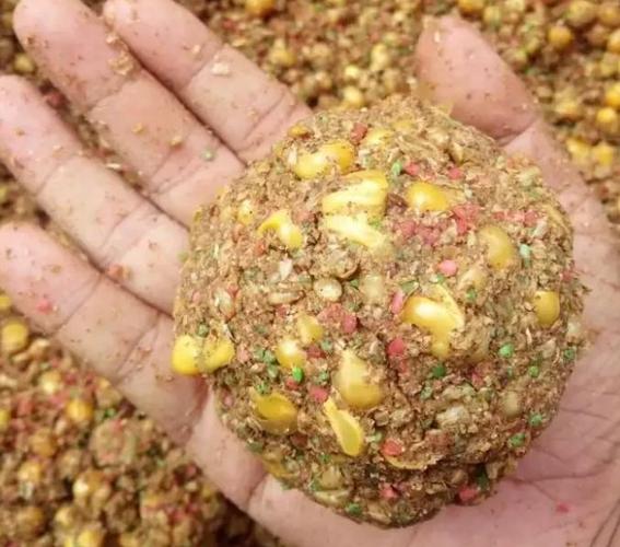 野釣空軍解決方法_魚口差應對技巧_釣魚技巧視頻 手桿釣鯉魚實戰