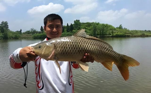 釣魚技巧視頻 手桿釣鯉魚實戰_魚口差應對技巧_野釣空軍解決方法