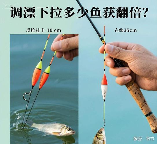 鯉魚蹭線調漂技巧_釣魚技巧視頻 手桿釣鯉魚實戰_調漂頓口抓死口
