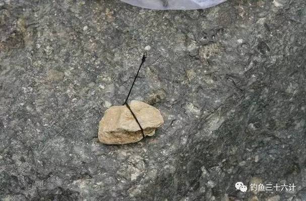 繃竿尖釣法_伐桿釣魚技巧視頻_急流區釣魚技巧