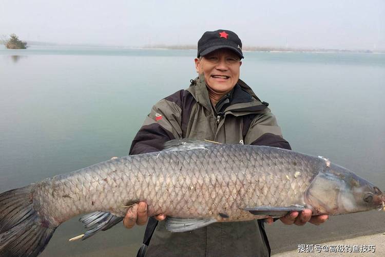 去黑坑釣_釣大魚視頻_降低期望釣大魚