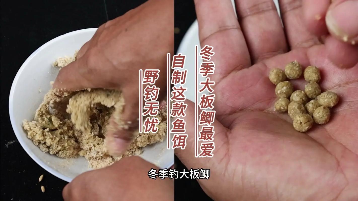 釣鯽魚的餌料配方_四號六號餌料搭配_冬季釣大板鯽餌料配方