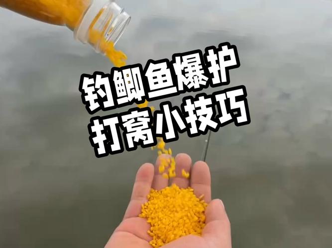 釣鯽魚餌料_釣鯽魚餌料排行榜第一名_釣鯽魚餌料配方