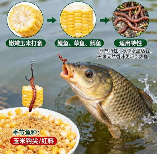 串鉤釣草魚用什么餌好_嫩玉米谷芽誘魚方法_盛夏釣草魚用餌技巧