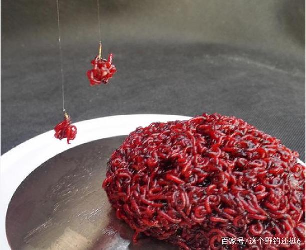 蚯蚓紅蟲商品餌野釣技巧_釣鯽魚餌料選擇_野釣鯽魚用蚯蚓還是用拉餌