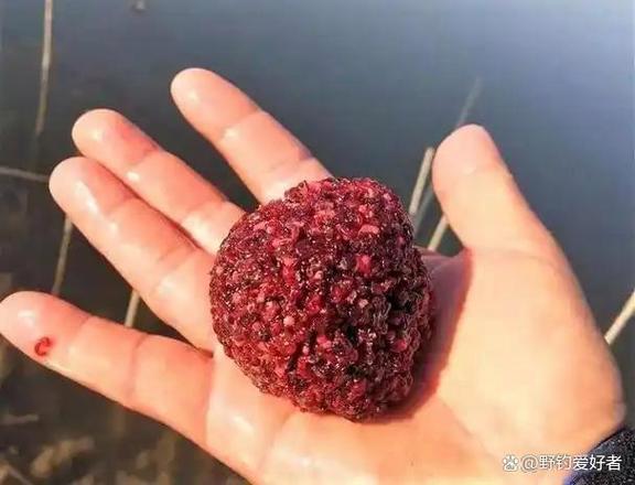蚯蚓紅蟲商品餌野釣技巧_野釣鯽魚用蚯蚓還是用拉餌_釣鯽魚餌料選擇