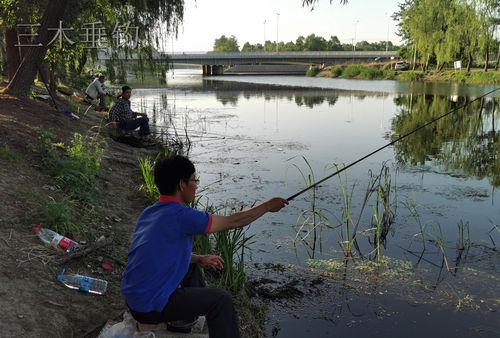 成都金堂釣魚的水庫在哪個地方_金堂縣釣魚水庫_金堂那個水庫好釣魚