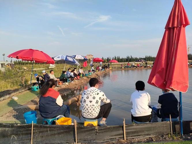 天津釣魚圣地_天津釣魚的地方有哪些不收費_天津免費釣魚
