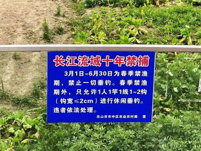 休閑垂釣新規_禁漁區管理_2026年5月1日釣魚新規