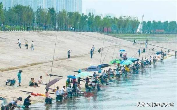 2026年5月1日釣魚新規_休閑垂釣新規_禁漁區管理