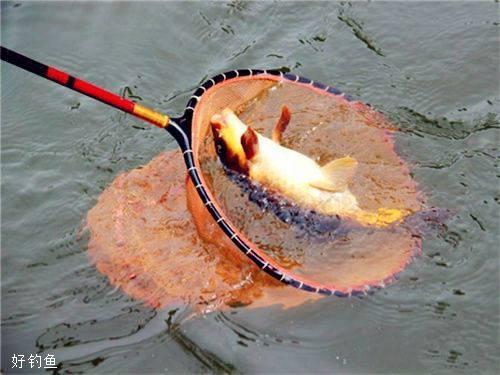 天津東麗黑坑787垂釣攻略_天津釣魚黑坑_黑坑高性價比釣組搭配與深度作釣技巧