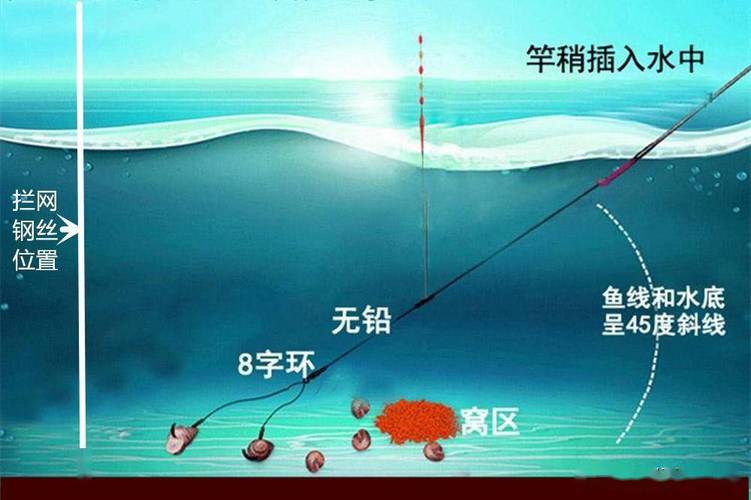 天津釣魚黑坑_天津東麗黑坑787垂釣攻略_黑坑高性價比釣組搭配與深度作釣技巧