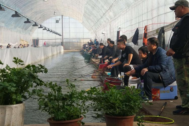 天津黑坑攻略_天津釣魚黑坑_黑坑避坑指南