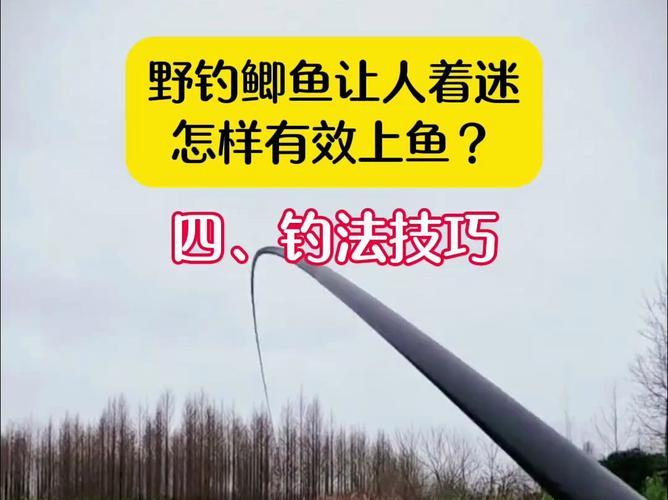手竿釣鯽魚方法_手竿釣鯽魚技巧_民間野釣鯽魚絕招