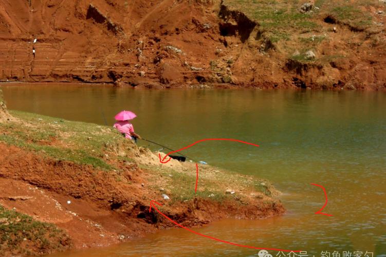 人工湖釣魚用什么魚餌_人工湖的魚怎么釣_人工湖釣魚技巧