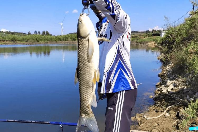 人工湖的魚怎么釣_人工湖釣魚用什么魚餌_人工湖釣魚技巧