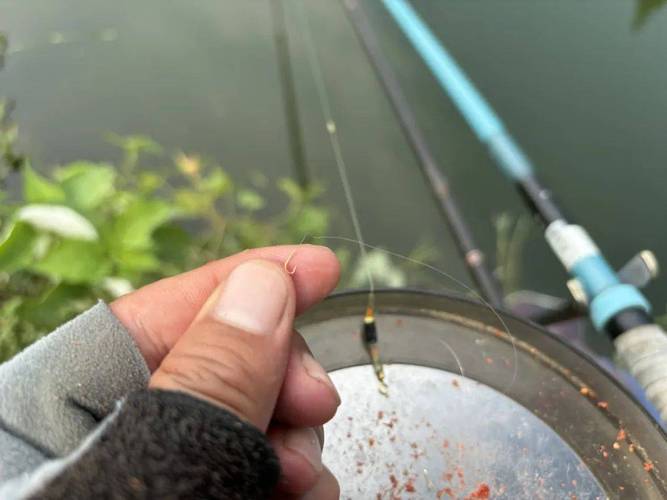 釣鯽魚線組選擇_野釣主線子線搭配_野釣鯽魚線組搭配