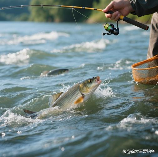 釣魚人APP提問題解答_釣魚人官網_釣魚人APP分享漁樂交流技巧
