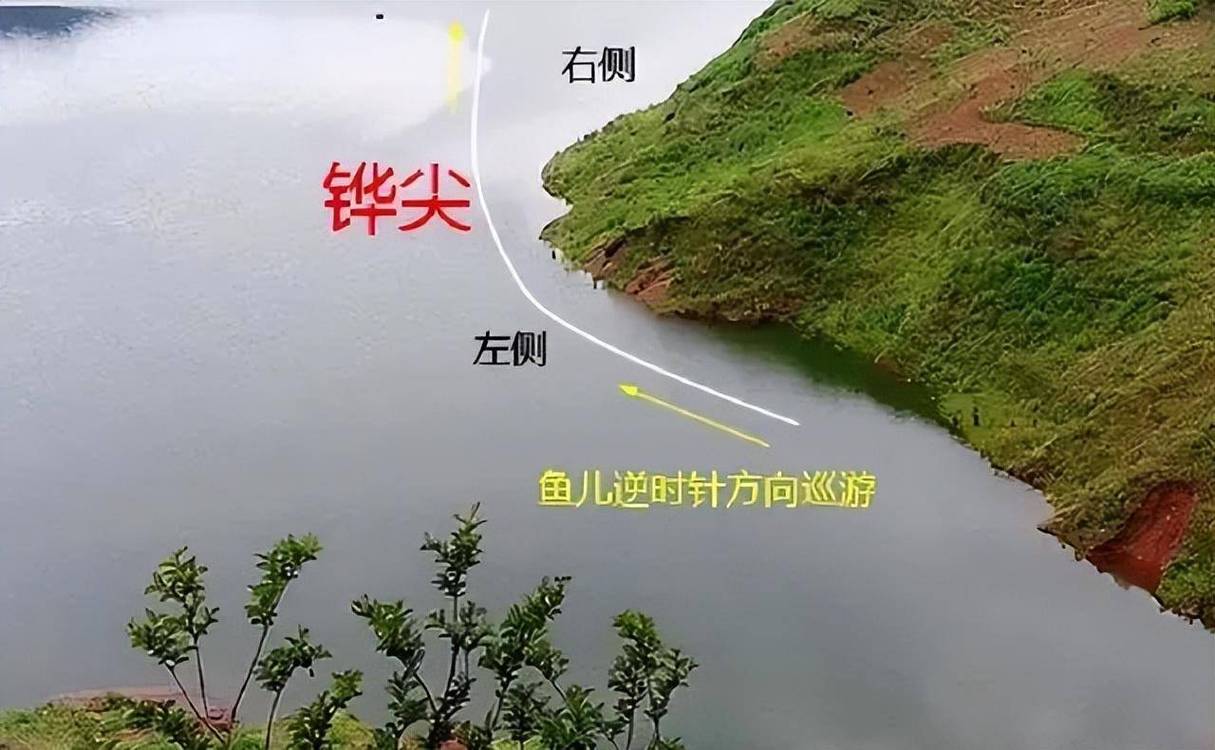 中藥釣魚配方大全_中藥釣魚配方大全經典_釣鯉魚配方