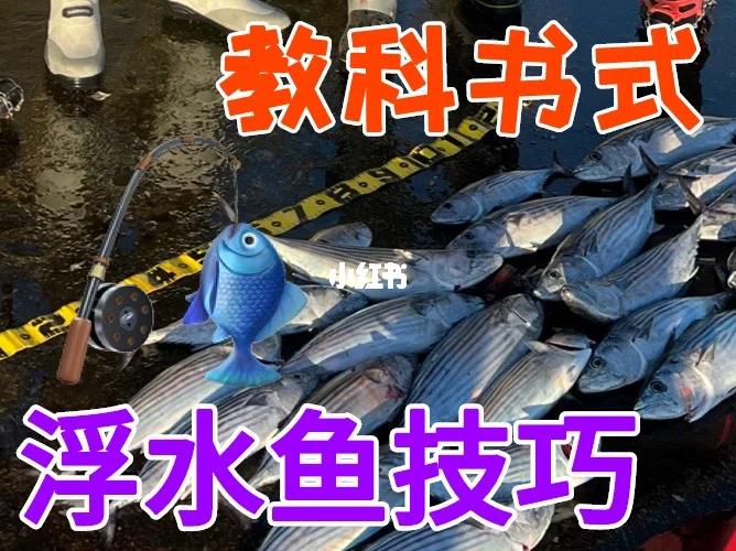 釣魚視頻國外大全最新_國外釣魚視頻大全高清_國外釣魚視頻大全