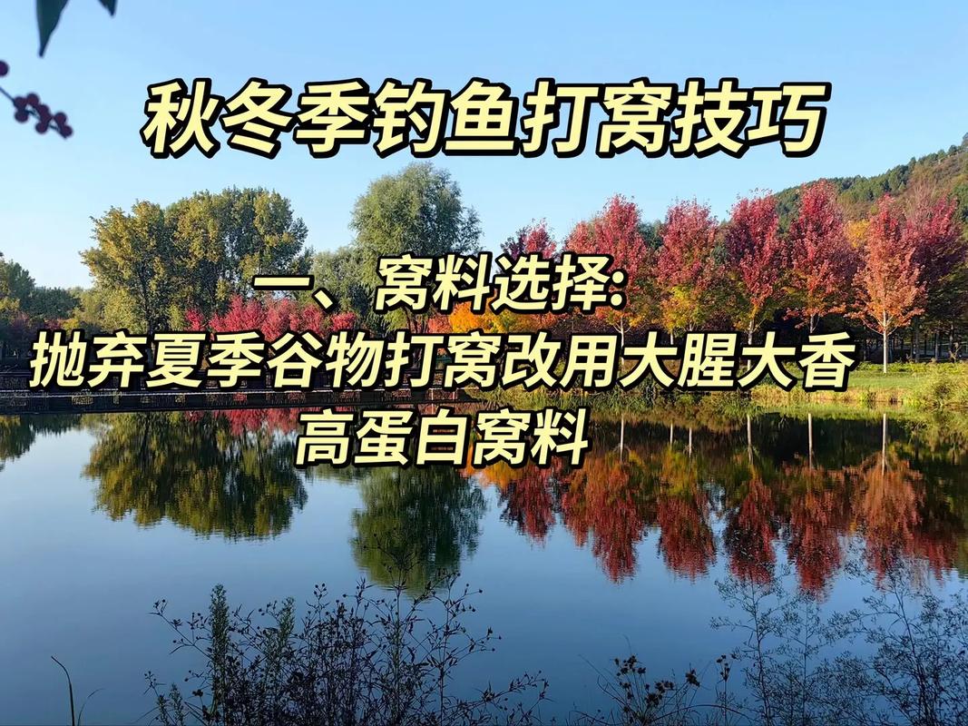 釣鯉魚用什么打窩_釣鯉魚打窩技巧_釣鯉魚用什么窩料