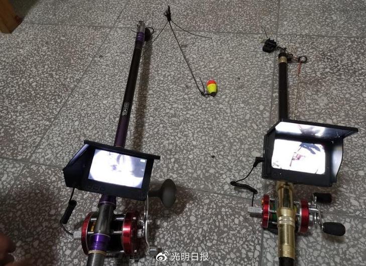 天津釣魚網論壇APP：老釣友的實戰經驗分享與避坑指南