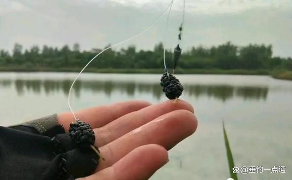 嫩玉米餌釣草魚技巧_夏季野釣草魚窩料_野釣草魚餌料配方大全餌料對了口大魚才會跟著走