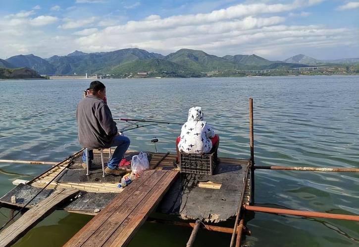 釣魚技巧_2026年野外釣魚視頻大全_釣魚攻略