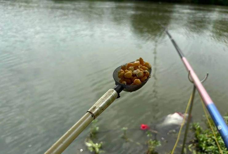 流水好釣魚硬底好釣魚_夏季釣魚口訣_夏季池塘釣魚技巧