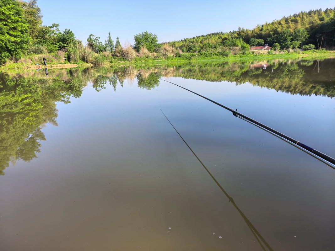 夏季釣魚口訣_夏季池塘釣魚技巧_流水好釣魚硬底好釣魚