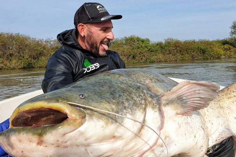 釣鯰魚技巧_釣鯰魚技巧_鯰魚最佳出釣時機