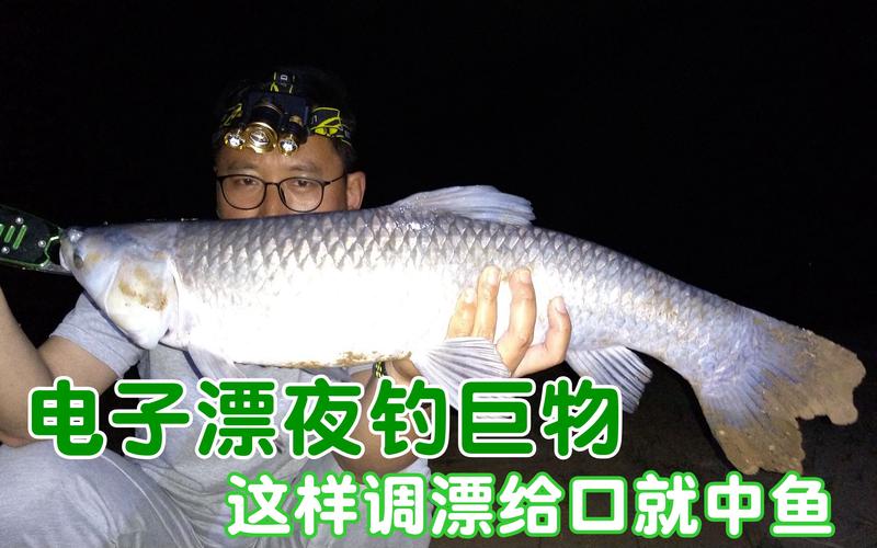 夜釣浮漂調漂技巧_夜光棒浮漂搭配_釣魚夜光浮