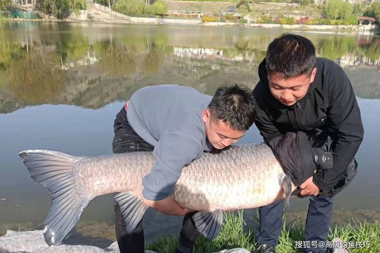 海竿優勢_海竿釣大魚技巧_海桿釣魚視頻