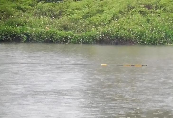 釣魚觸電事故_釣魚安全注意事項_高壓線下釣魚觸電死亡