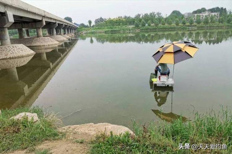 找釣位方法_老一輩釣魚經驗_釣蝦技巧