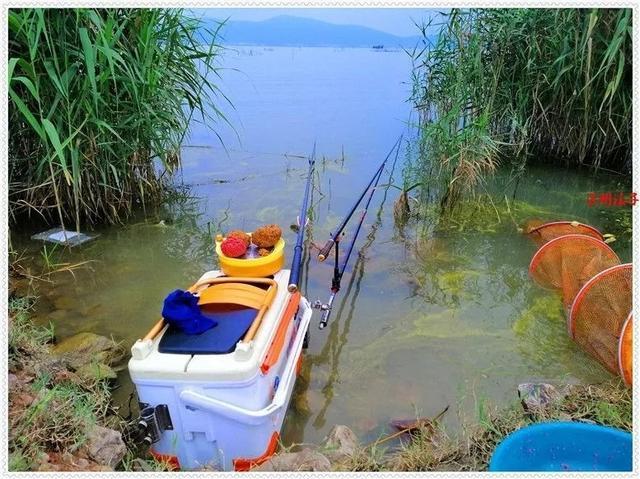 天津釣魚地點_天津海釣場推薦_天津釣魚網野釣地點在哪