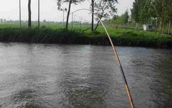 釣魚方法技巧_最佳氣壓釣魚范圍_釣魚指數計算方法