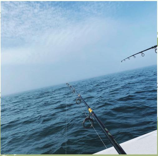 天津海邊釣魚野釣地點_天津海邊哪能釣魚_天津哪里適合海釣