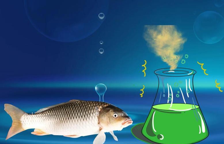 釣魚小藥的使用方法_釣魚小藥使用方法_釣魚小藥加窩料技巧